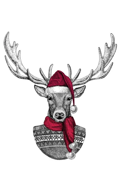 Портрет дикого оленя в шляпе Санта-Клауса — стоковое фото