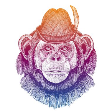 Vektör maymun, şempanze, maymun. Geleneksel Bavyera şapkası. Tirol Avusturyalı şapkası. Bira festivali hayvan portresi..