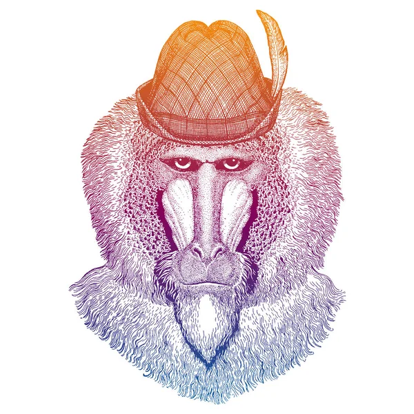 Mono vector, babuino. Sombrero tradicional bávaro. Sombrero austriaco Tirol. Retrato del personaje de Beer Oktoberfest . — Vector de stock