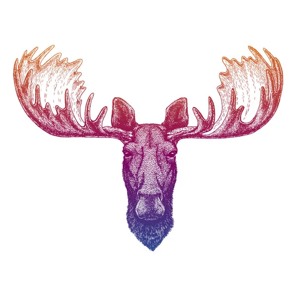 Geyik, geyik. Dövme, tişört, amblem, rozet, logo, yama için el çizimi hayvan portresi — Stok Vektör