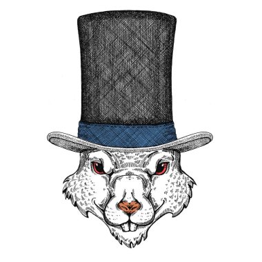 Vahşi fare portresi. Çin 'in mutlu yeni yılı 2020.