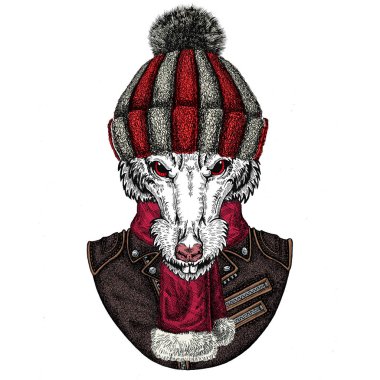 Örgü yün şapka giyen vahşi fare portresi. Snowboard, kayak faresi. Çin 'in mutlu yeni yıl sembolü 2020.