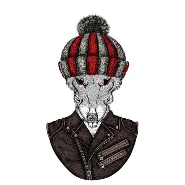 Örgü yün şapka giyen vahşi fare portresi. Snowboard, kayak faresi. Çin 'in mutlu yeni yıl sembolü 2020.