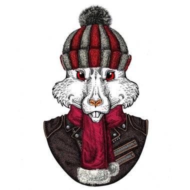 Örgü yün şapka giyen vahşi fare portresi. Snowboard, kayak faresi. Çin 'in mutlu yeni yıl sembolü 2020.