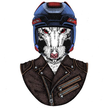 Hokey kaskı takan vahşi fare portresi. Çin 'in mutlu yeni yılı 2020.