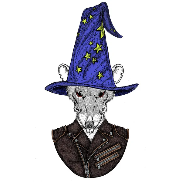 Fantasy portrait of wild rat or mouse wearing magic wizard hat. Cartoon witch. Fairy tale character. Symbol chinese happy new year 2020. — Stock Photo, Image