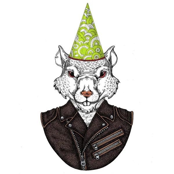 Retrato de rata salvaje con gorra de cumpleaños, cono, sombrero. Símbolo chino feliz año nuevo 2020 . —  Fotos de Stock
