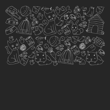 Evde beslenen hayvan dükkan. Vektör çizim hayvanlar, köpek, kedi, balık, kedi, kuş, köpek ile renkli arka plan ile. Veteriner Kliniği.