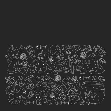 Evde beslenen hayvan dükkan. Vektör çizim hayvanlar, köpek, kedi, balık, kedi, kuş, köpek ile renkli arka plan ile. Veteriner Kliniği.