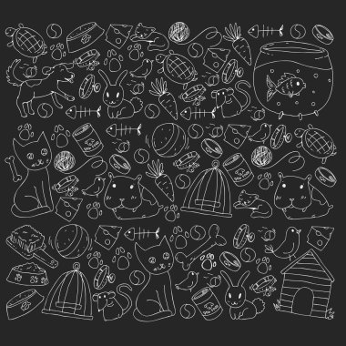 Evde beslenen hayvan dükkan. Vektör çizim hayvanlar, köpek, kedi, balık, kedi, kuş, köpek ile renkli arka plan ile. Veteriner Kliniği.