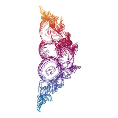 Çiçekler ve elmalar. Vektör resmi. Düğün davetiyesi şablonu, ekoloji konsepti, vejetaryen yemeği, kafe, restoran, elma suyu paketi için illüstrasyon