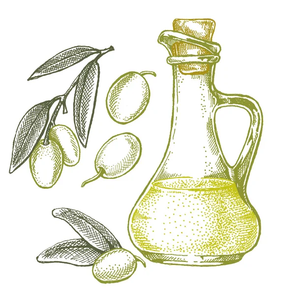 オリーブオイルとオリーブオイルのボトル。パッケージ用ヴィンテージレトロスタイルイラスト。オリーブオイルと有機農場の健康的な食品と化粧品 — ストックベクタ