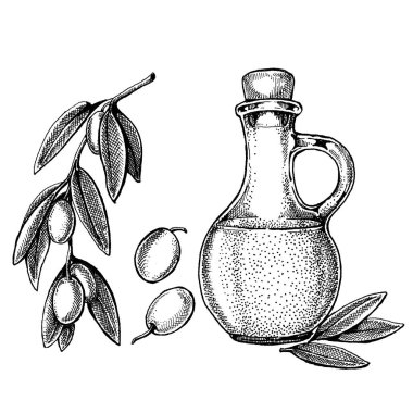Zeytinyağı ve zeytinyağlı bir şişe. Paket için klasik retro tarzı illüstrasyon. Zeytinyağlı kozmetik ve organik tarım sağlıklı gıdalar.