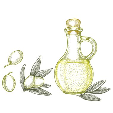 Zeytinyağı ve zeytinyağlı bir şişe. Paket için klasik retro tarzı illüstrasyon. Zeytinyağlı kozmetik ve organik tarım sağlıklı gıdalar.