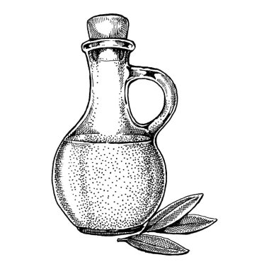 Zeytinyağı ve zeytinyağlı bir şişe. Paket için klasik retro tarzı illüstrasyon. Zeytinyağlı kozmetik ve organik tarım sağlıklı gıdalar.