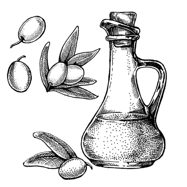 Botella con aceitunas y aceite de oliva. Ilustración de estilo retro vintage para el paquete. Cosmético con aceite de oliva y alimentos saludables granja ecológica — Vector de stock