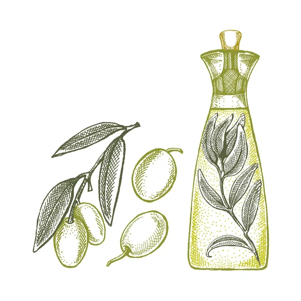 Бутылка с оливковым и оливковым маслом. Винтажная иллюстрация в стиле ретро для упаковки. Косметика с оливковым маслом и экологически чистыми продуктами питания — стоковый вектор