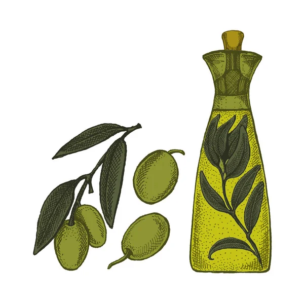 Flasche mit Oliven und Olivenöl. Illustration im Retro-Stil für die Verpackung. Kosmetik mit Olivenöl und Bio-Bauernhof gesunde Lebensmittel — Stockvektor