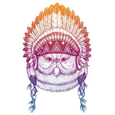 Pers kedisi. Hayvan herif. Geleneksel Hint başlığıyla tüylü vektör portresi. Küçük çocuk kıyafetleri için kabile tarzı illüstrasyon. Çocuklar için tişört, posterler..