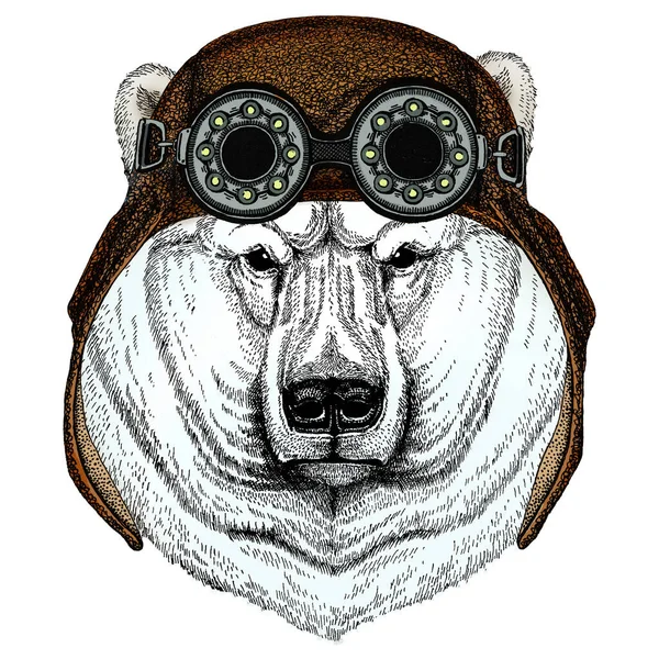 Retrato de urso polar. Cabeça de animal selvagem. Aviador capacete de couro voador com óculos . — Fotografia de Stock