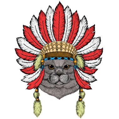 İngiliz kısa mesafe kedisi. İskoç katlama. Şirin kedi yavrusu. Tüylü Kızılderili başlığı. Boho tarzı.