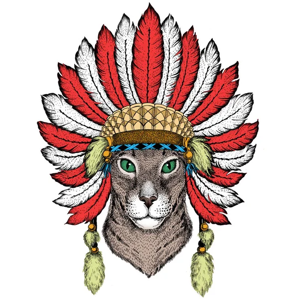 Orientalische Kurzhaarkatze. Tierporträt. Indische Kopfbedeckung mit Federn. Boho-Stil. — Stockfoto