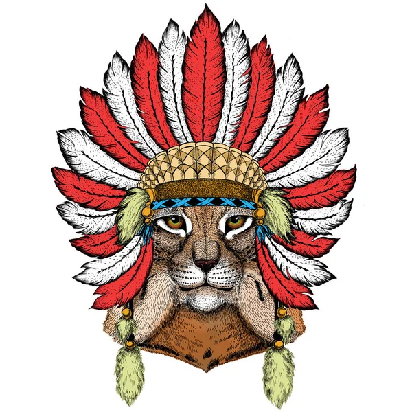 Lynx, gato montés, retrato de trote. Tocado indio con plumas. Estilo boho . — Foto de Stock