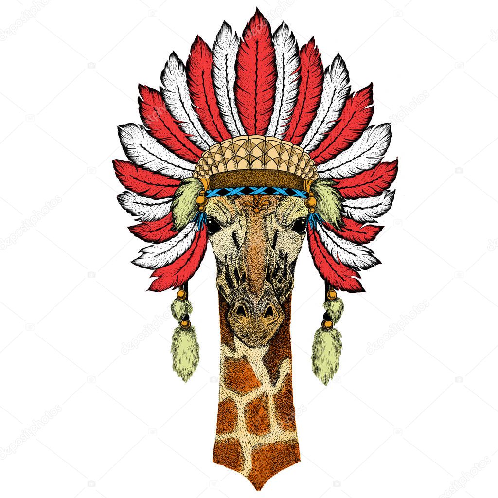 Indian headdress with feathers. Boho style.