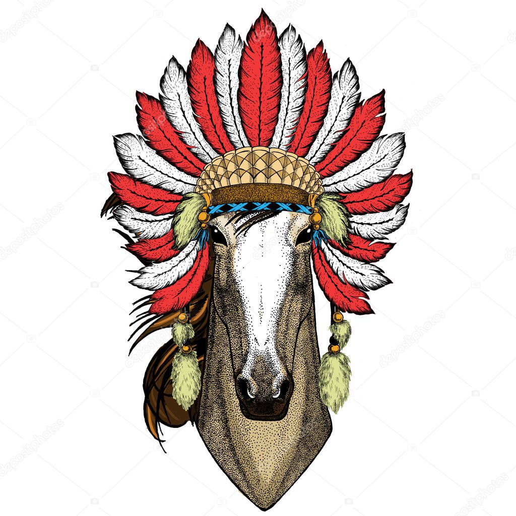 Horse, steed, courser. Portrait of wild animal. Indian headdress with feathers. Boho style.