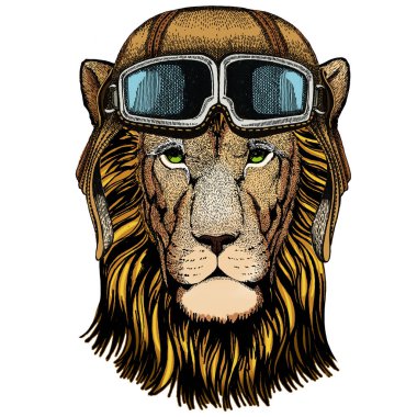 Aslan. Vahşi hayvan portresi. Afrika kedisinin yüzü. Google 'lı vintage havacı kaskı.