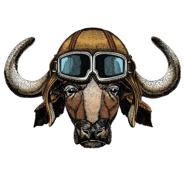 Retrato de búfalo, bisonte, toro, vaca. Cara de animal. Casco aviador Vintage con googles . —  Fotos de Stock
