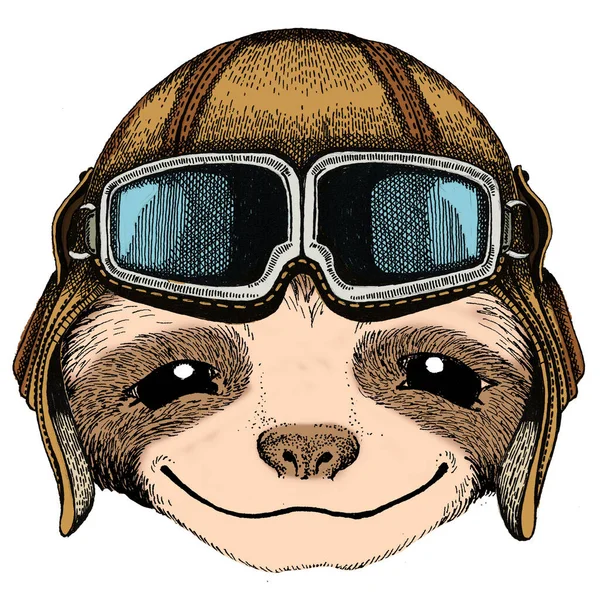 Sloth portrait. Face of cute animal. Vintage aviator helmet with googles. — Stock Photo, Image