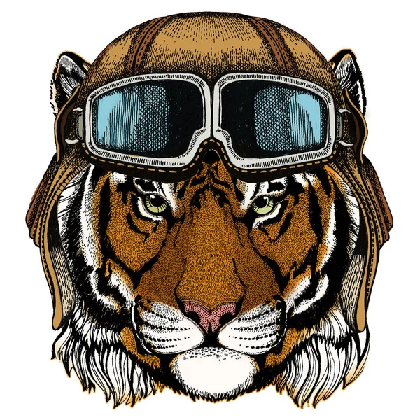 Portrait de tigre. Tête de chat sauvage. Casque aviateur vintage avec googles . — Photo