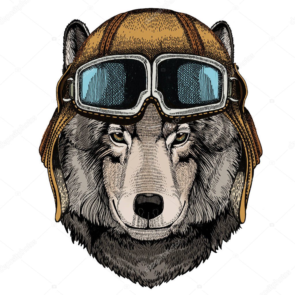 Vintage aviator helmet with googles.