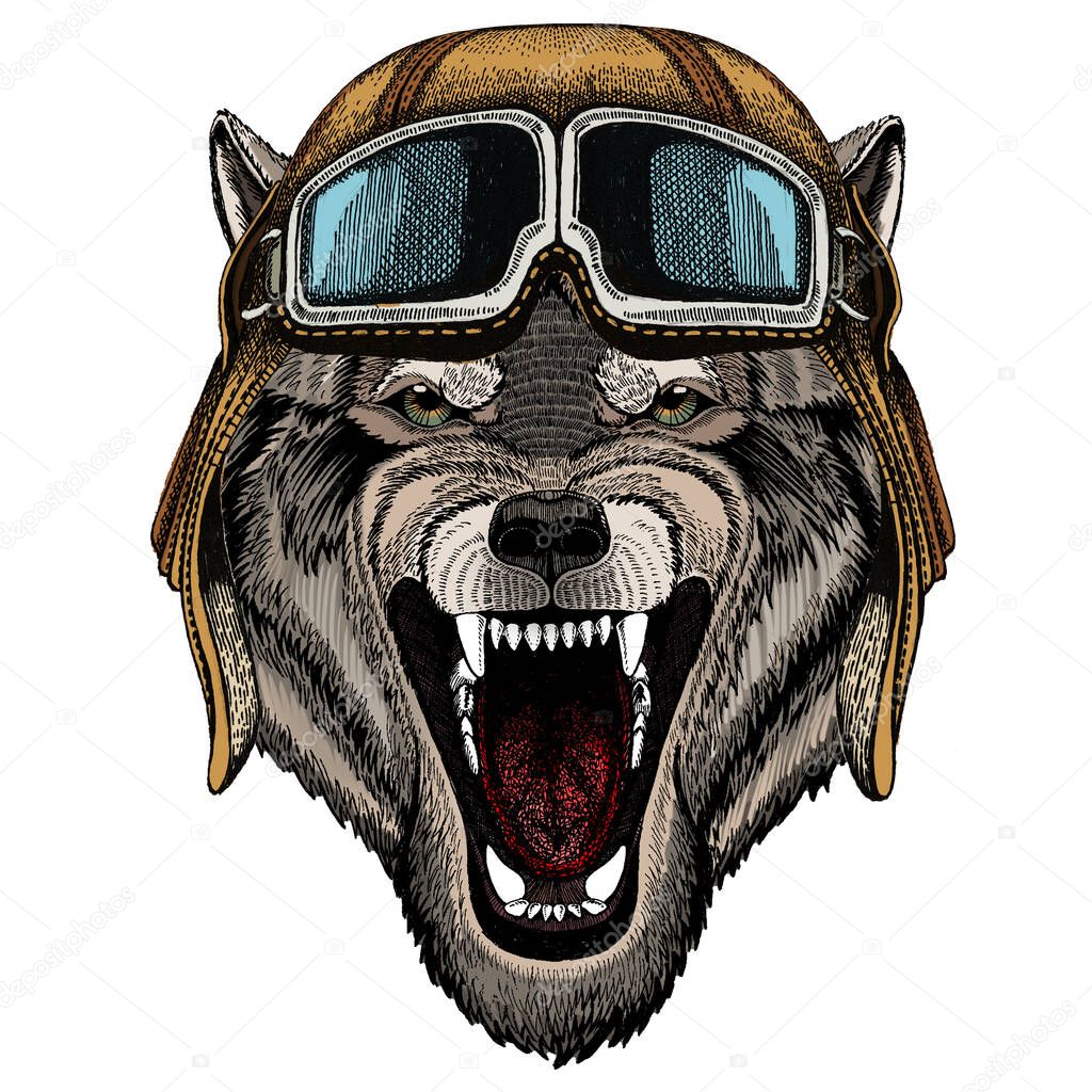 Vintage aviator helmet with googles.