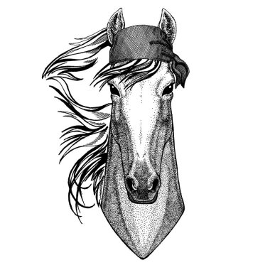 Korsan bandana takan vahşi bir hayvan. Cesur bir denizci. Dövme, amblem, rozet, logo, yama için el çizimi resim