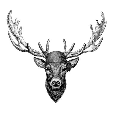 Geyik. Korsan bandana takan vahşi bir hayvan. Cesur bir denizci. Dövme, amblem, rozet, logo, yama için el çizimi resim