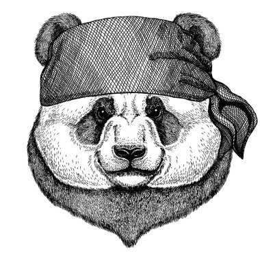 Panda, bambu ayı. Korsan bandana takan vahşi bir hayvan. Cesur bir denizci. Dövme, amblem, rozet, logo, yama için el çizimi resim