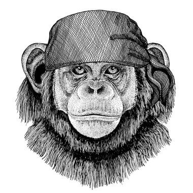 Şempanze, Maymun. Korsan bandana takan vahşi bir hayvan. Cesur bir denizci. Dövme, amblem, rozet, logo, yama için el çizimi resim