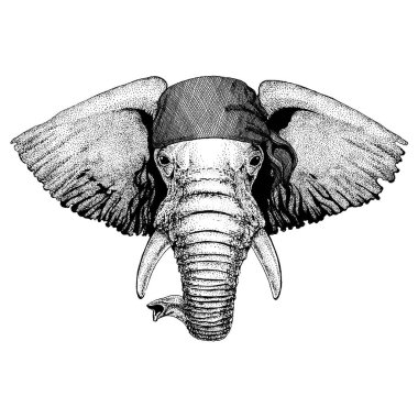 Korsan bandana takan vahşi fil. Cesur bir denizci. Dövme, amblem, rozet, logo, yama için el çizimi resim