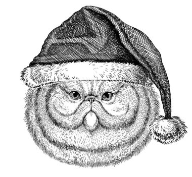 Noel Baba şapkası takan kedi. Dövme, amblem, rozet, logo, yama için el çizimi resim