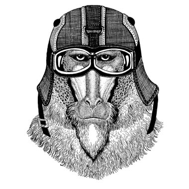 Maymun, babun, köpek maymunu, motosiklet kaskı takan maymun hippi hayvan. Anaokulu çocuk kıyafetleri, çocuklar için görüntü. Tişört, dövme, amblem, rozet, logo, yama