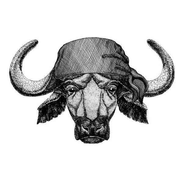 Bufalo, toro, bue. Animali selvatici che indossano bandana pirata. Coraggioso marinaio. Immagine disegnata a mano per tatuaggio, emblema, distintivo, logo, patch — Vettoriale Stock