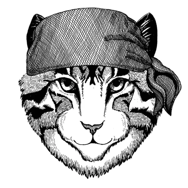 ¡Cat! Animal salvaje con bandana pirata. Valiente marinero. Imagen dibujada a mano para tatuaje, emblema, insignia, logotipo, parche — Vector de stock