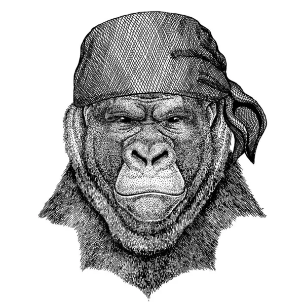 Gorila, mono, mono. Animal salvaje con bandana pirata. Valiente marinero. Imagen dibujada a mano para tatuaje, emblema, insignia, logotipo, parche — Vector de stock