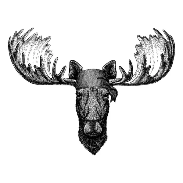 Moose. Elk. Wild animal wearing pirate bandana. Brave sailor. Hand drawn image for tattoo, emblem, badge, logo, patch — Stock Vector