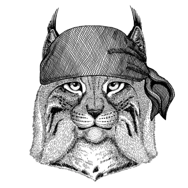 Chat sauvage, Lynx, Bobcat, Trot. Un animal sauvage portant un bandana pirate. Brave marin. Image dessinée à la main pour tatouage, emblème, insigne, logo, patch — Image vectorielle