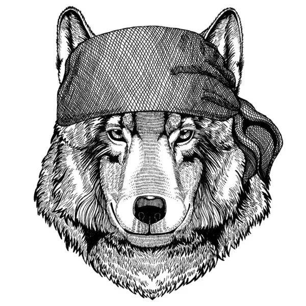 Wolf Wild animal wearing pirate bandana. Brave sailor. Hand drawn image for tattoo, emblem, badge, logo, patch — Stock Vector