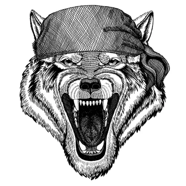 Wolf Wild animal wearing pirate bandana. Brave sailor. Hand drawn image for tattoo, emblem, badge, logo, patch — Stock Vector