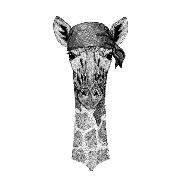 Zürafa. Korsan bandana takan vahşi bir hayvan. Cesur bir denizci. Dövme, amblem, rozet, logo, yama için el çizimi resim — Stok Vektör